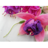 Brook Wood Joy Fuchsie